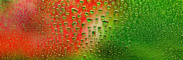 Water drops banner. Abstract gradient background. Colored drop texture. Green-red gradient. Heavily textured image. Shallow depth of field. Selective soft focus