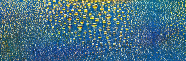 Water drops banner. Abstract gradient background. Colored drop texture. Blue-yellow gradient. Heavily textured image. Shallow depth of field. Selective soft focus