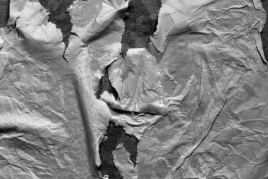 Islak yırtık kağıt dokusu. Yüzey desenli, boş, beyaz bir kağıt parçası. Kağıt arkaplan. Tam çerçeve