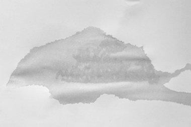 Islak beyaz kağıt. Kağıt üzerinde ıslak bir nokta. Kağıt üzerinde su. Soyut doku