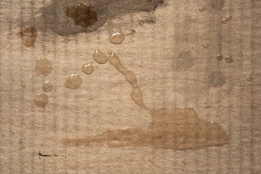 Islak karton. Kirli, kıvrımlı kartonda ıslak lekeler. Soyut doku