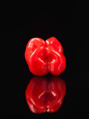 Acı biber. Kırmızı biber koyu bir arka plana yansıdı