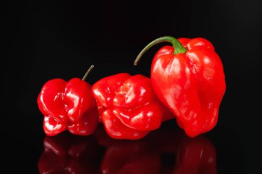 Acı biber. Siyah arka plana yansıyan üç kırmızı biber.