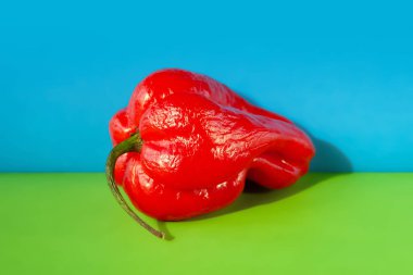 Acı biber. Kırmızı biber, yeşil-mavi kağıt arka planda yakın plan.