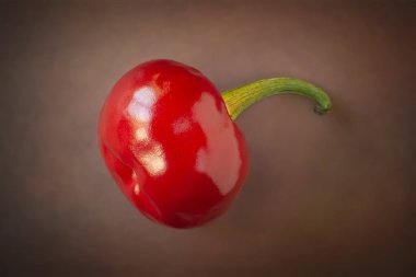 Acı biber. Kırmızı sıcak Asya biberi koyu arkaplana yansıyor