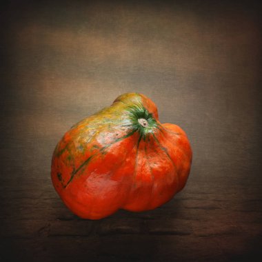 Balkabağım. Balkabağıyla hayat devam ediyor. Koyu grunge soyut arka planda mini balkabağı