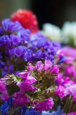 Kurumuş çiçekler. Kurumuş yabani çiçekler. Renkli buket yakın plan. Yumuşak odak