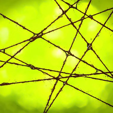 Islak iplikler. Islak ipliklerle su damlalarının soyutlanması. Yumuşak odak