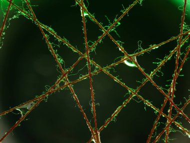 Damlalarla ıslak iplikler. Islak ipliklerden yapılan renkli soyutlama. Makro fotoğraf. Yumuşak odak