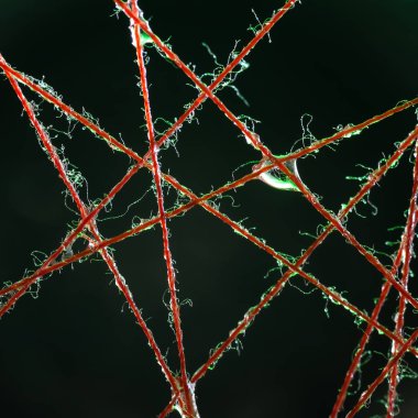 Islak iplikler ve su damlaları. Islak ipliklerden renkli soyutlama. Makro fotoğraf. Yumuşak odak