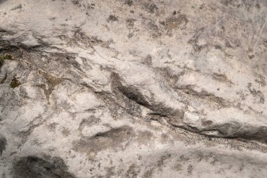 Taş dokusu. Bir kayaya yakın çekim. Dağlarda büyük taşlar. Doğa arkaplanı