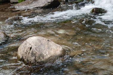 Dağ nehri. Nehirde akan büyük taşlar. Islak taş dokusu. Dağlarda seyahat et.