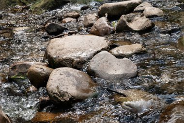 Dağ nehri. Hızlı suda büyük taşlar. Islak taş dokusu. Dağlarda seyahat et.