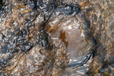 Hızlı akan bir nehrin dokusu. Suyun altında parlak, ıslak taşların dokusu. Dağ nehri. Dağlarda seyahat et.