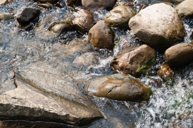 Dağ nehri. Hızlı bir nehirde büyük taşlar. Parlak ıslak taşların dokusu. Dağlarda seyahat et.