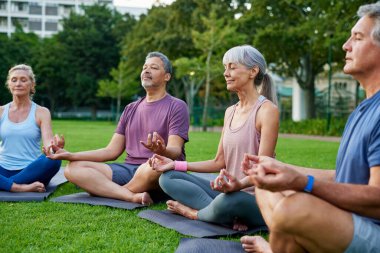 Gün batımında yoga minderleri üzerinde meditasyon yapan yaşlı insanlar. Son sınıflar şehir parkında farkındalık ve derin nefes alma egzersizleri yapıyor. Nilüfer çiçekli poz veren sakin ve odaklanmış son sınıf grubuyla açık hava yoga seansı..