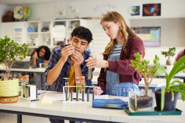 Test tüpleri ve bitki örnekleri kullanarak bilim deneyinde işbirliği yapan çok ırklı öğrenciler. Gençler, doğal örneklere odaklı bir sınıf biyolojisi aktivitesi yürütüyorlar. Fen laboratuarında ders sırasında botanik materyallerini analiz eden adam ve kız..