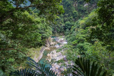 Shakadang, Taroko Ulusal Parkı Tayvan 'ında yürüyüş parkurunda. Liwu Nehri tarafından oyulmuş Taroko Geçidi 'nin adını alan koruma altındaki orman manzarası. Tayvan 'ın doğal harikaları ve mirası.