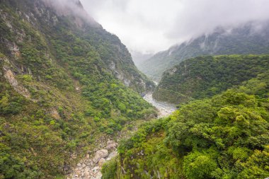 Tayvan 'daki Taroko Ulusal Parkı duyuları büyüleyen büyüleyici bir cennettir. Heybetli mermer kayalıkları, çağlayan şelaleleri ve yemyeşil ormanları doğal güzelliklerin bir senfonisini yaratır..