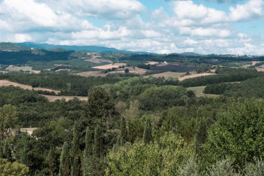 Tuscany bölgesindeki Siena eyaletindeki tarlalar üzüm ve buğday tohumlarını almaya hazır..