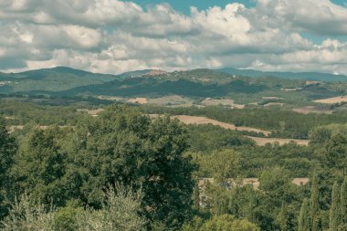 Tuscany 'nin Tuscany bölgesindeki yeşil ekili tarlalar vadisi..