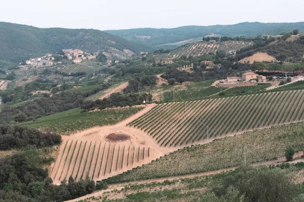 stock image Beautiful view of Tuscany. Brunello di Montalcino wine fileds from the Castello di Velona. Summer landscape and landmarks near Montalcino.