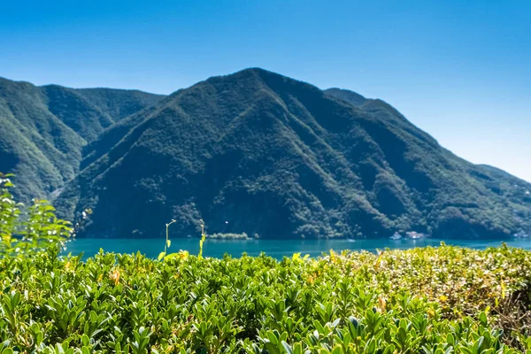 モンテ ブレからスイスの山々とルガーノ湖 ルガーノ スイスだ カントン ティチーノ 高品質の写真 — ストック写真