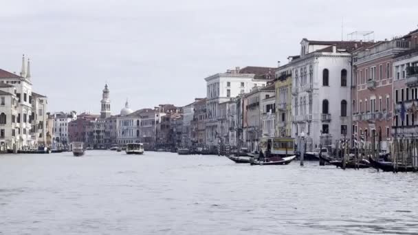 从一艘船上俯瞰威尼斯与大运河的天际线 海鸥和圣玛丽亚德拉索尔特大教堂 圣马可广场 里阿尔托桥和贡多拉教堂的景观 — 图库视频影像