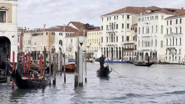 ボートからグランド運河とヴェネツィアのスカイラインの素晴らしい景色 カモメとサンタ マリア デッラ サルテ大聖堂 聖マーク広場 リアルト橋 ゴンドラの眺め — ストック動画