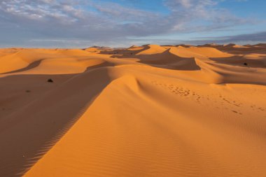 Morocco. High quality photo. Beautiful sand dunes in the Sahara desert.