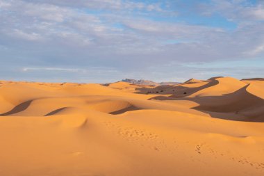 Morocco. High quality photo. Beautiful sand dunes in the Sahara desert.