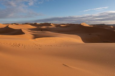 Morocco. High quality photo. Beautiful sand dunes in the Sahara desert.
