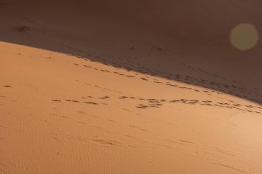 Morocco. High quality photo. Beautiful sand dunes in the Sahara desert.
