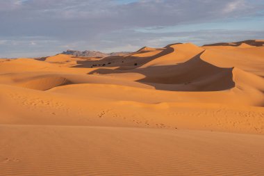 Morocco. High quality photo. Beautiful sand dunes in the Sahara desert.