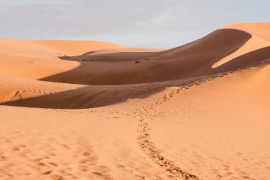 Morocco. High quality photo. Beautiful sand dunes in the Sahara desert.