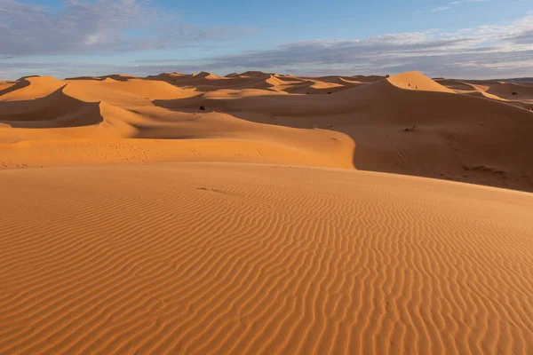 Morocco. High quality photo. Beautiful sand dunes in the Sahara desert.