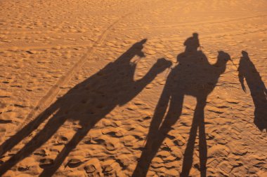 Camel shadow on the sand dune in Sahara Desert, Merzouga, Morocco.