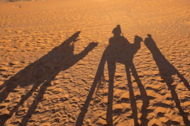 Shadows of a couple on camel dromedaries on the sand dunes of the Sahara Desert in Morocco