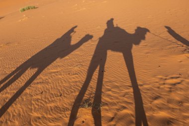 Shadows of a couple on camel dromedaries on the sand dunes of the Sahara Desert in Morocco