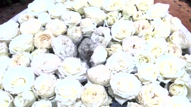 白い大理石の噴水 白いバラで覆われ 中央から水が上昇 — ストック動画