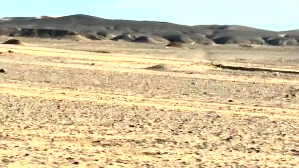Vast Barren Landscape Sahara Desert Seen Car Road Trip Morocco — стоковое видео