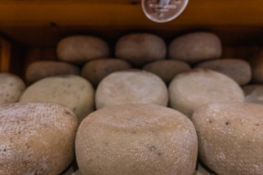 Pecorino cheese wheels for sale in a market in Tuscany, Italy