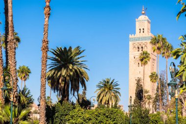 Grand mosque in the middle of a palm garden with clear sky in the background. Morocco
