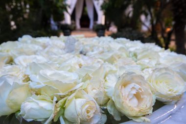 Fas 'ta Marakeş' te bir isyanda misket çeşmesinde beyaz güller