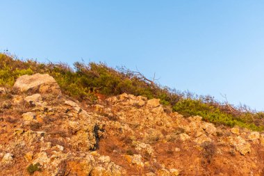 Günbatımında Yunanistan 'da Santorini adasının kayalık yüzeyi ve çorak bitkileri