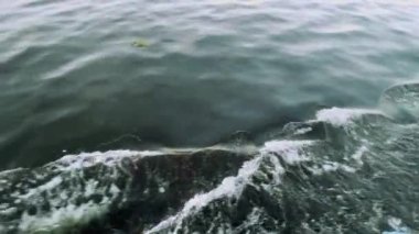 Niles Sıvı Dans: Nehirdeki Tekne Dalgalanmaları. Yüksek kalite 4K görüntü. Niles sularının şiirsel hareketini bir tekne zarifçe dalgalanırken tecrübe edin. Bu sahne bir övgü.
