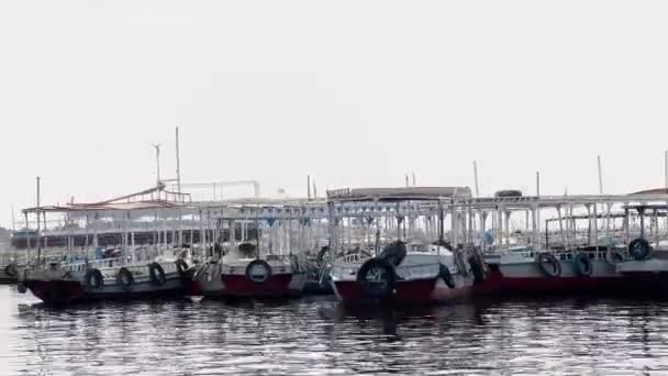 Descubra Refúgio Vida Beira Mar Nilo Enquanto Barcos Típicos Reúnem — Vídeo de Stock