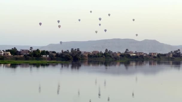 Ballong Äventyr Längs Nilen Egypten Lugnet Skönhet Ovanifrån Högkvalitativ Film — Stockvideo