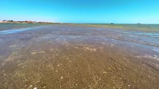 샌드뱅크 세레니티 해안에서 허용합니다 고품질 번화한 해안에서 떨어진 고요한 바다로 — 비디오