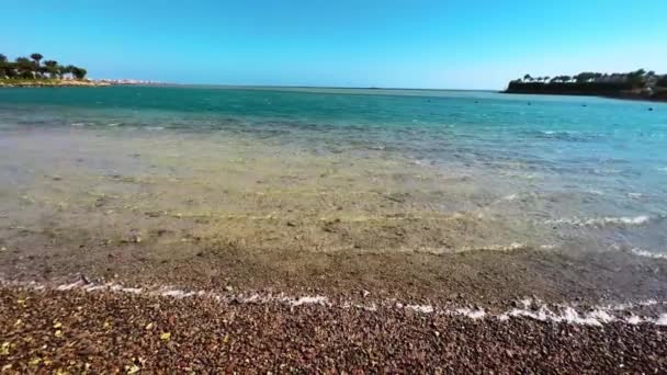 Serene Shoreline Crystal Waters Gently Caressing Beach High Quality Footage — Stock Video